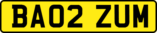 BA02ZUM