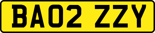 BA02ZZY