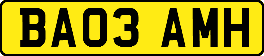 BA03AMH