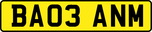 BA03ANM