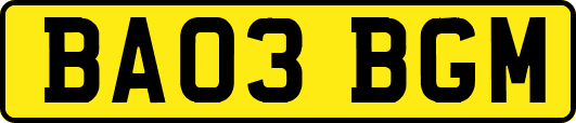 BA03BGM