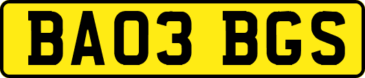 BA03BGS
