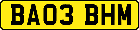 BA03BHM
