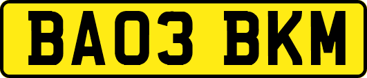 BA03BKM