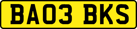 BA03BKS