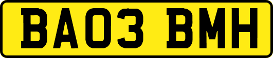 BA03BMH