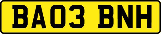 BA03BNH