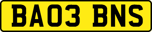 BA03BNS