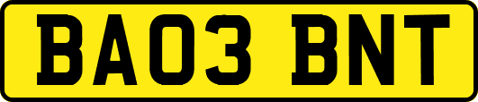 BA03BNT