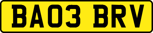 BA03BRV