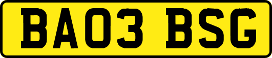 BA03BSG