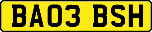 BA03BSH