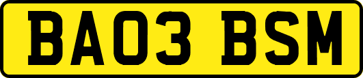BA03BSM