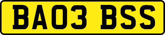 BA03BSS