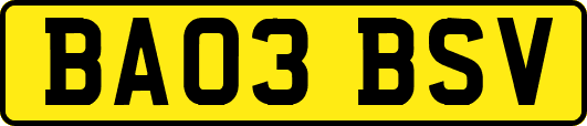 BA03BSV
