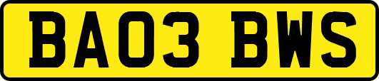 BA03BWS