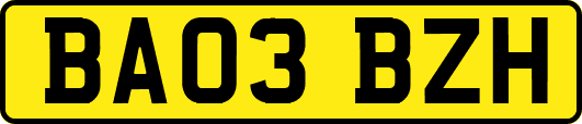 BA03BZH