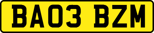 BA03BZM