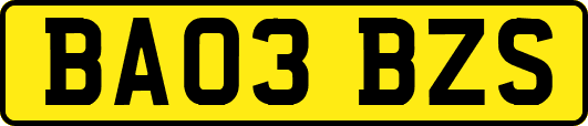 BA03BZS