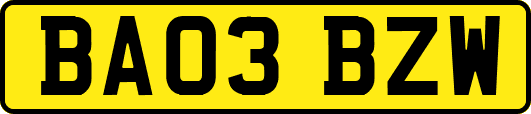BA03BZW