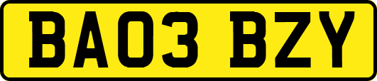 BA03BZY