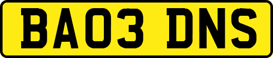 BA03DNS