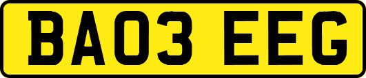 BA03EEG