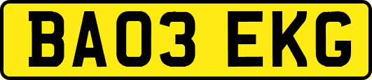 BA03EKG