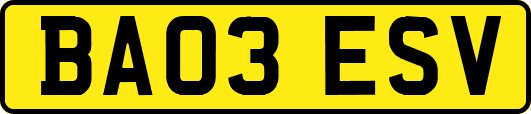 BA03ESV