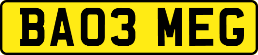 BA03MEG