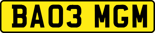 BA03MGM