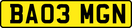 BA03MGN