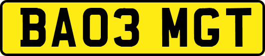 BA03MGT