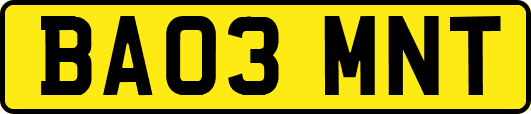BA03MNT