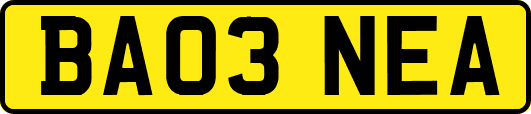 BA03NEA