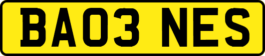 BA03NES