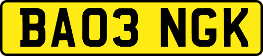 BA03NGK