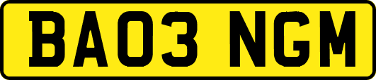 BA03NGM