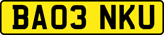 BA03NKU