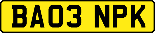 BA03NPK