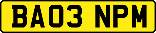 BA03NPM