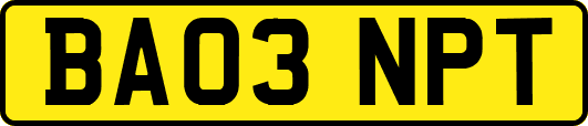 BA03NPT