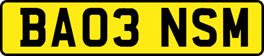 BA03NSM