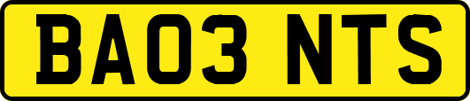 BA03NTS