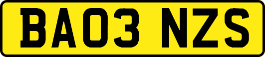BA03NZS