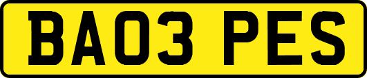 BA03PES