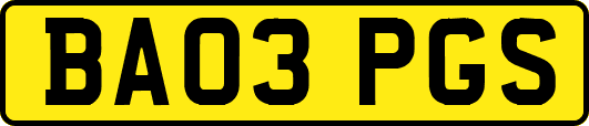 BA03PGS