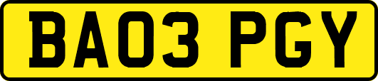 BA03PGY