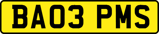 BA03PMS