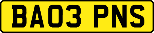 BA03PNS